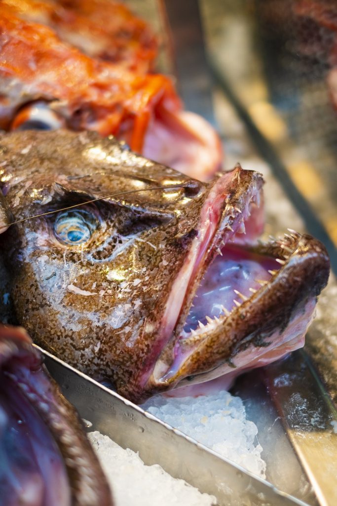 Yes, You Can Eat Anglerfish: Here Is How the Japanese Do It