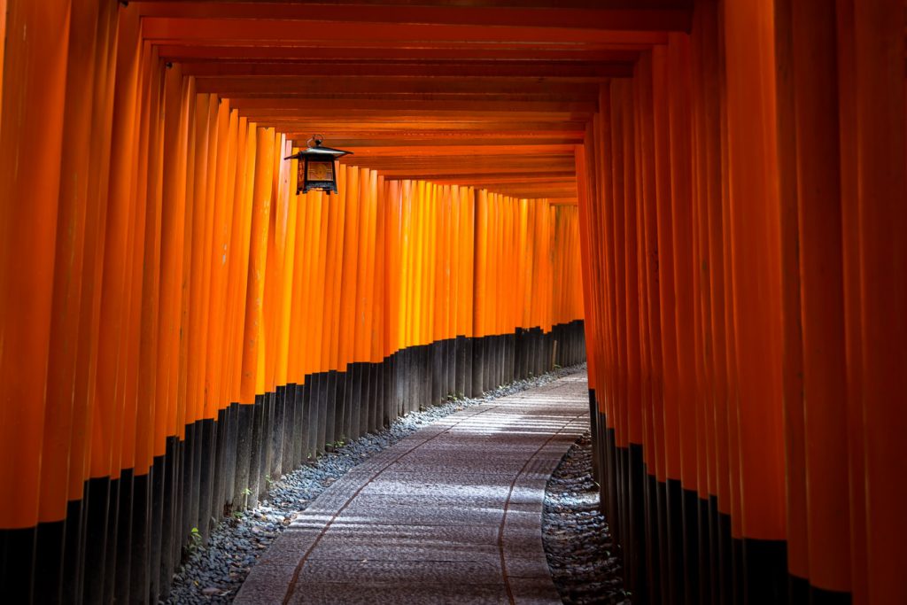 Japanese red torii gates
