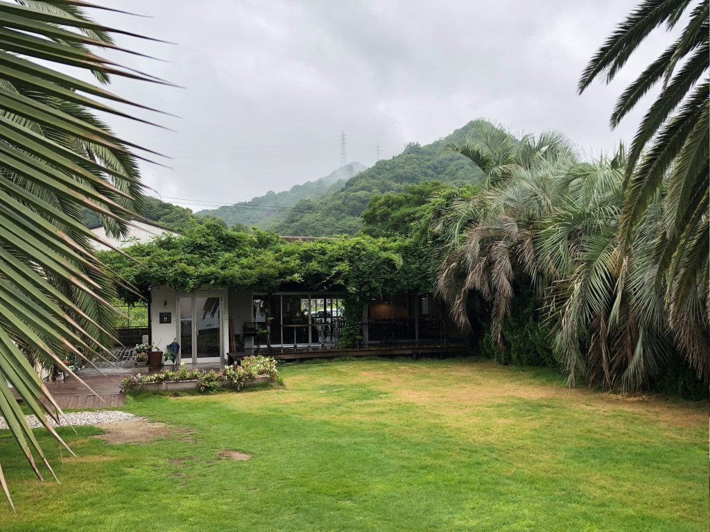 Small building with its roof covered with vegetation, with a small garden with palm trees