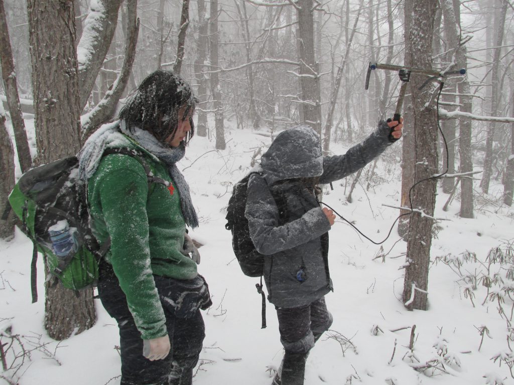 Two people are standing in the snow. One of them is holding an antenna.