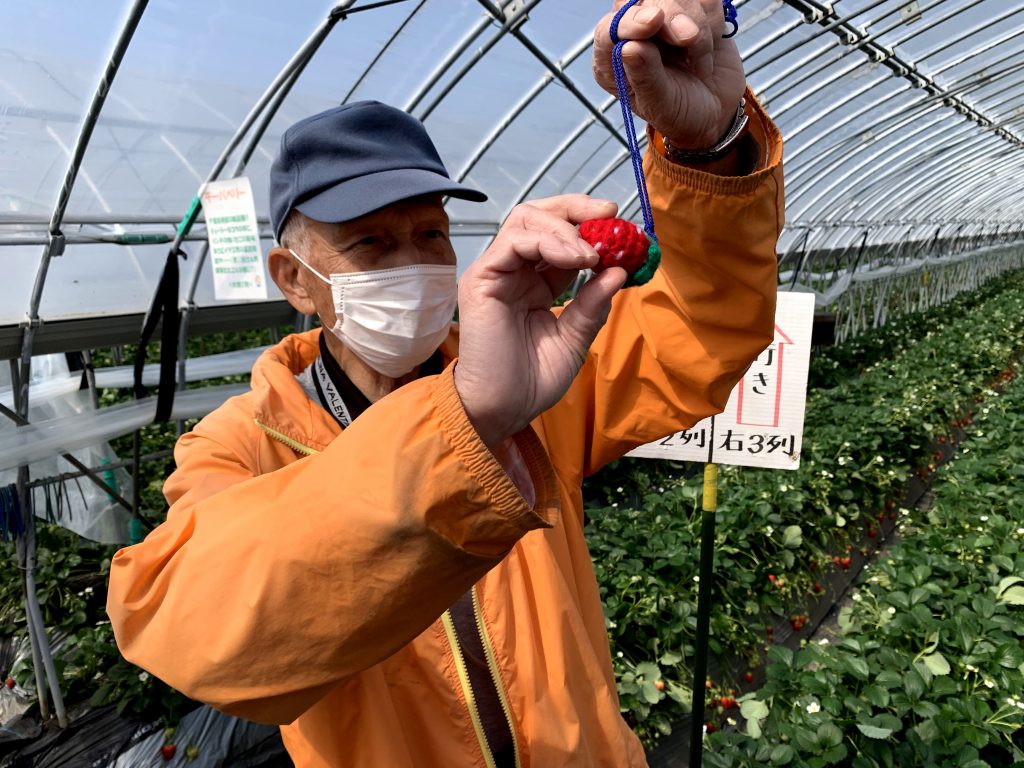 An elder man is holding a strawberry replica