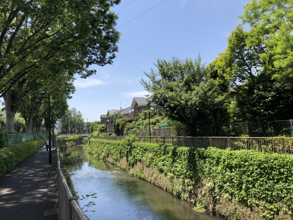 Picture of the Kanda river, along which there is a lot of green