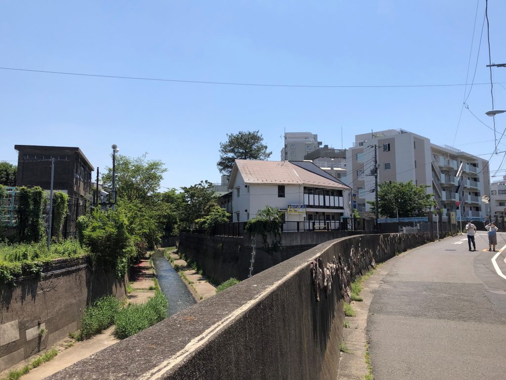 A river flowing in the city splits in two. On the far right, a blue bridge.