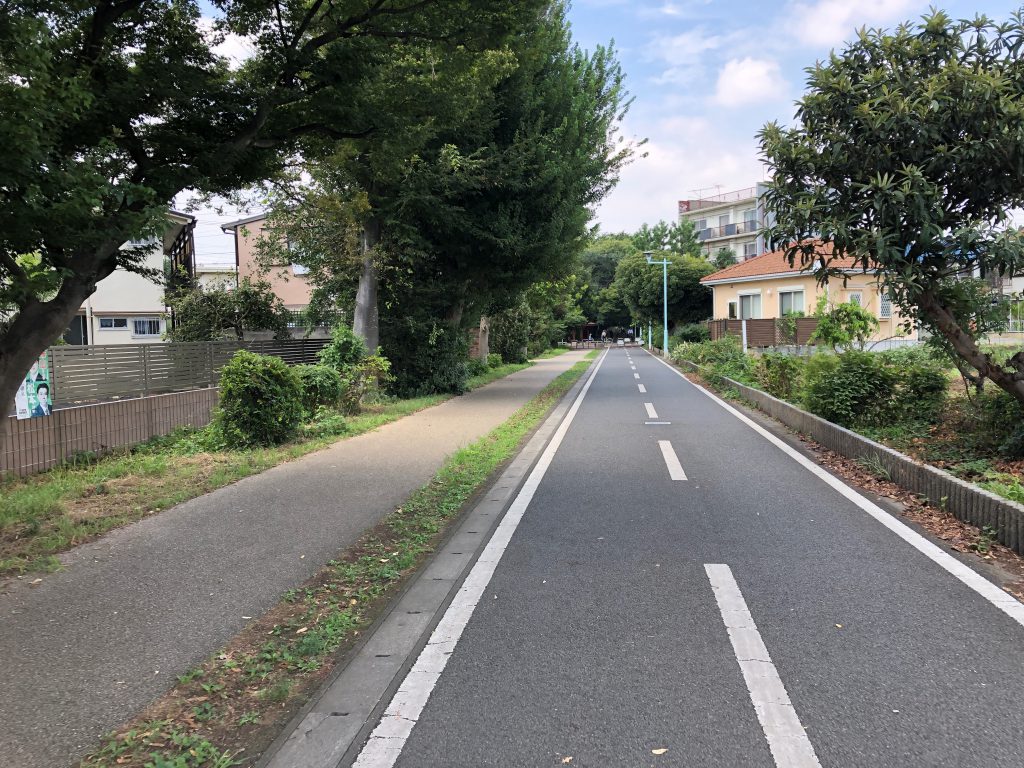 On the left, a footpath. On the right, a cycling path.