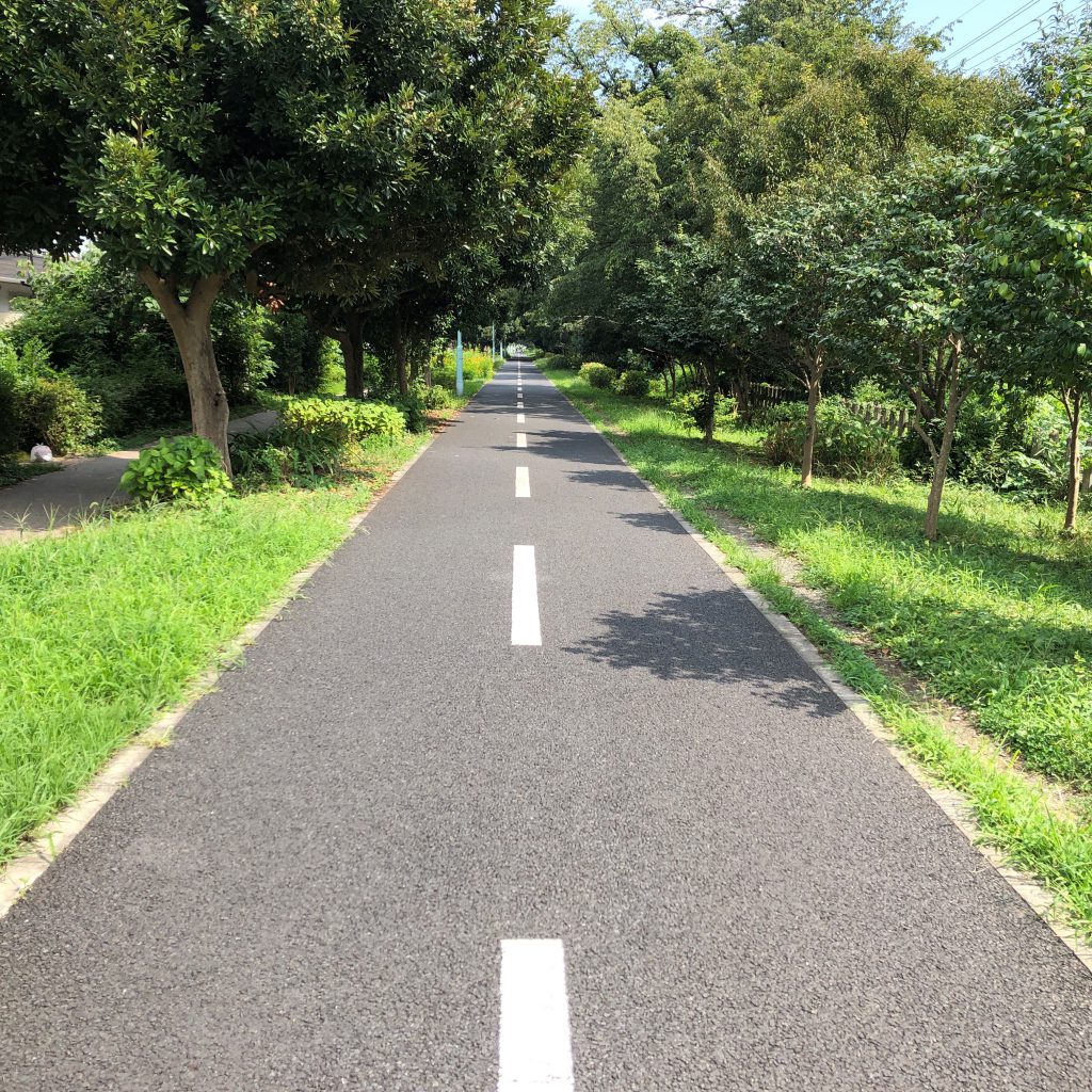 A cycling path surrounded by green