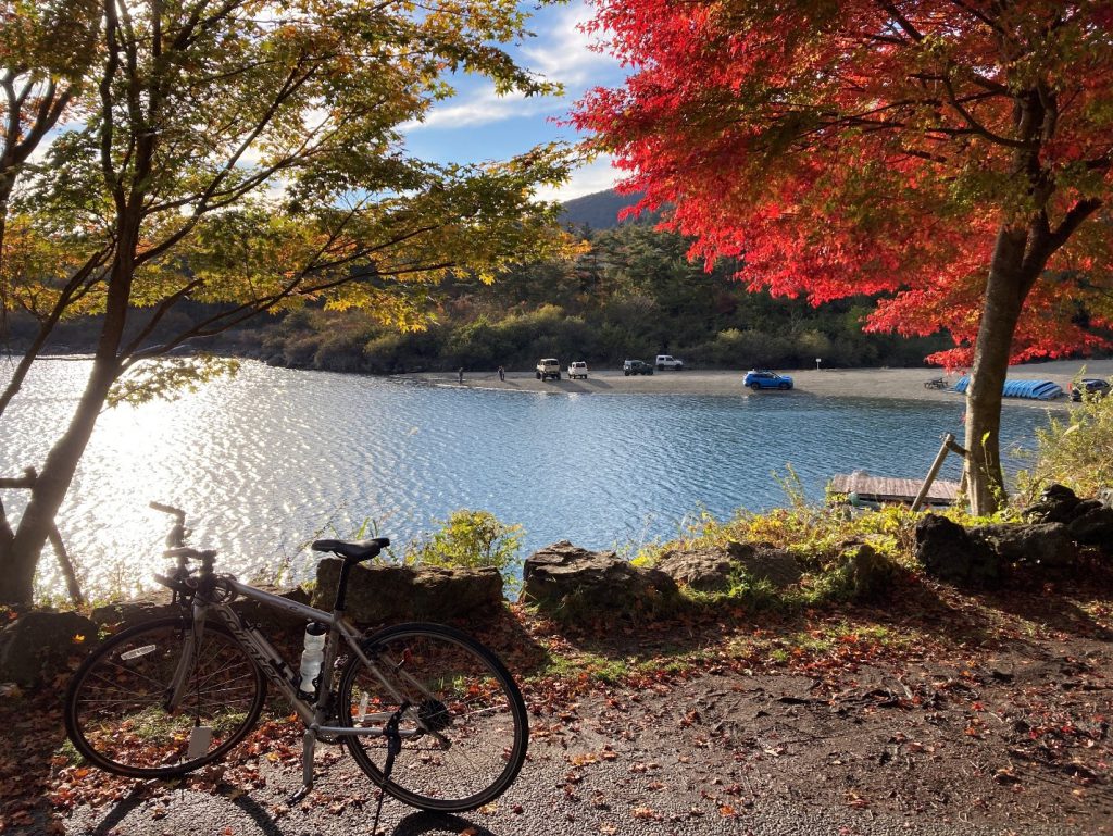 Red and yellow trees on the shore of Lake Saiko.