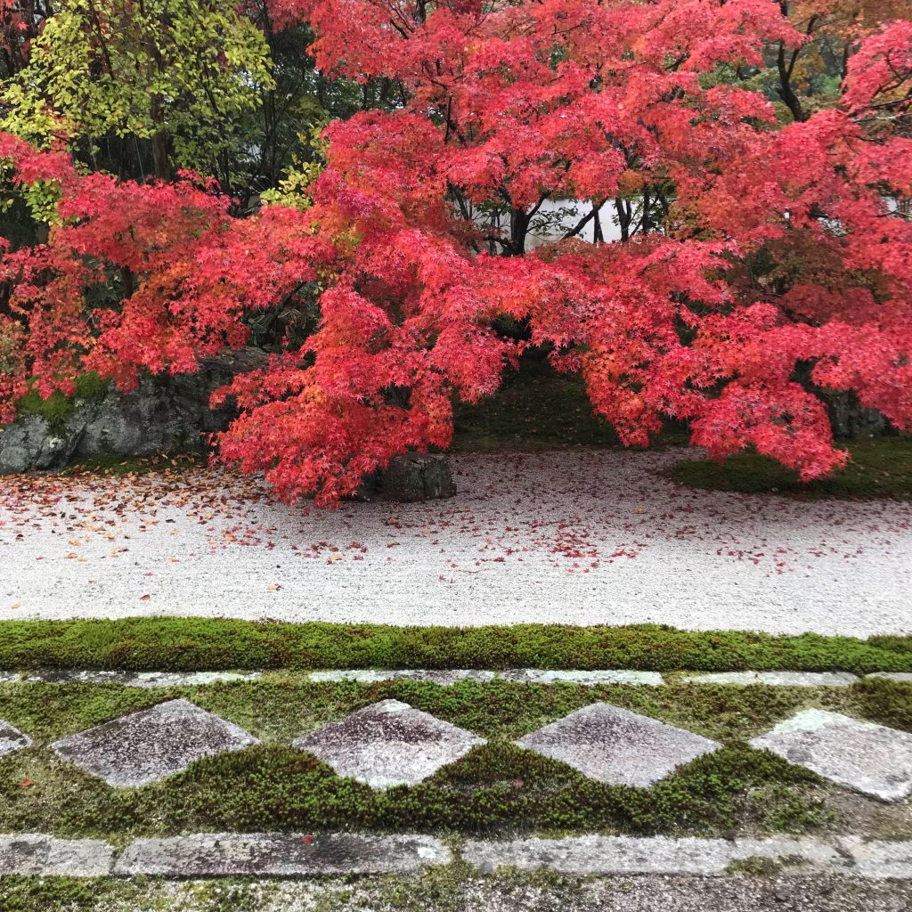 Tenju-an Temple Garden, Kyoto