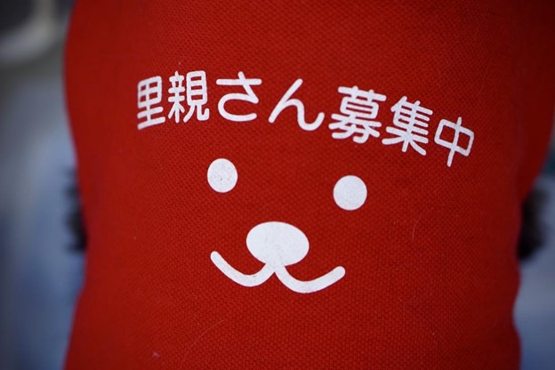 A red t-shirt is printed with a smiling dog face and and a inscription in Japanese saying “Looking for a new family”