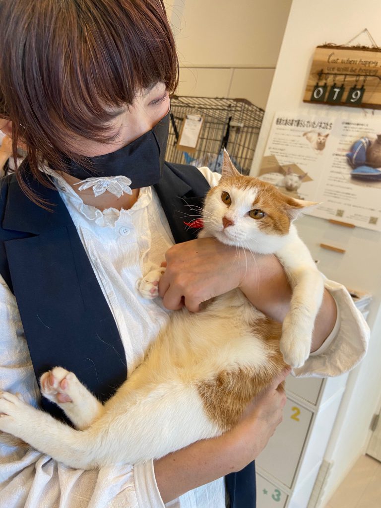 Yuka Hattori and a rescued Amami Oshima cat