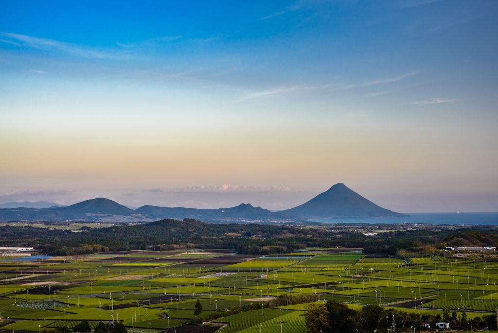 Green tea fields extend up to the sea. In the background, a volcano can be seen.