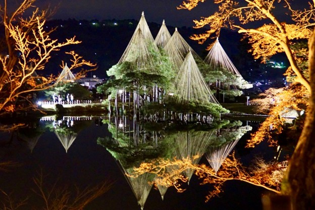 Illuminated pine trees and orange leaves reflect in a garden's pond 